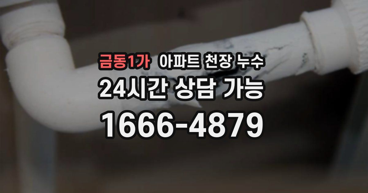 금동1가 아파트 천장 누수