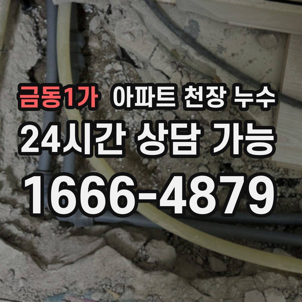 금동1가 아파트 천장 누수