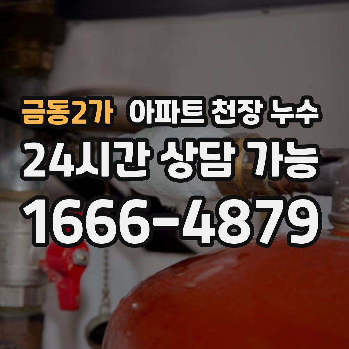 금동2가 아파트 천장 누수
