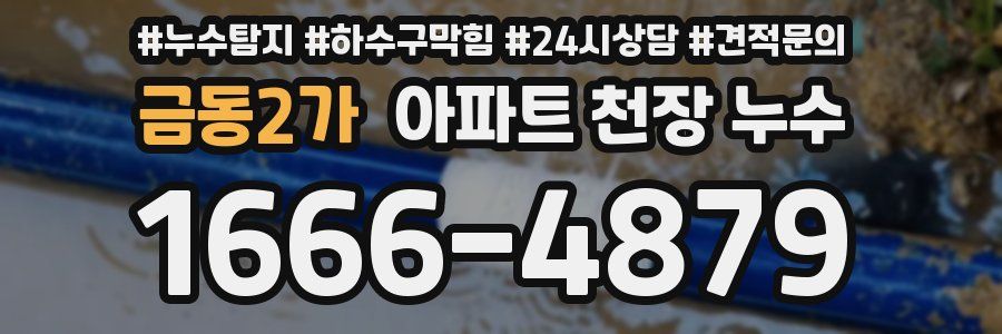 금동2가 아파트 천장 누수