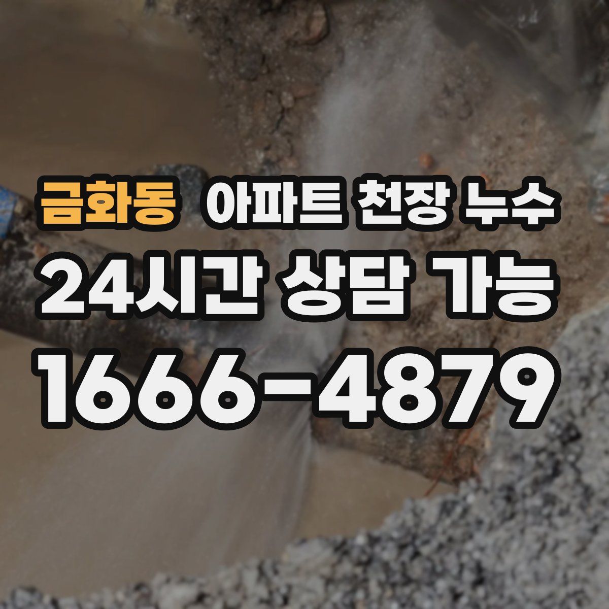 금화동 아파트 천장 누수