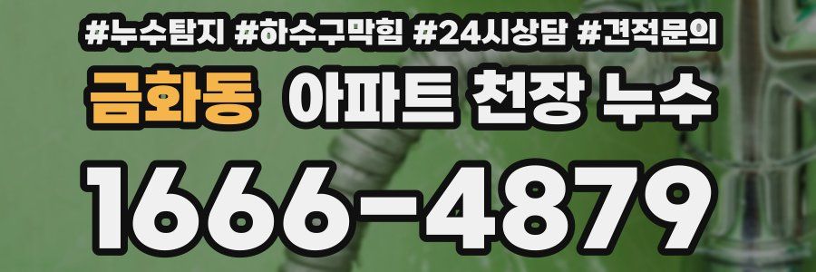 금화동 아파트 천장 누수