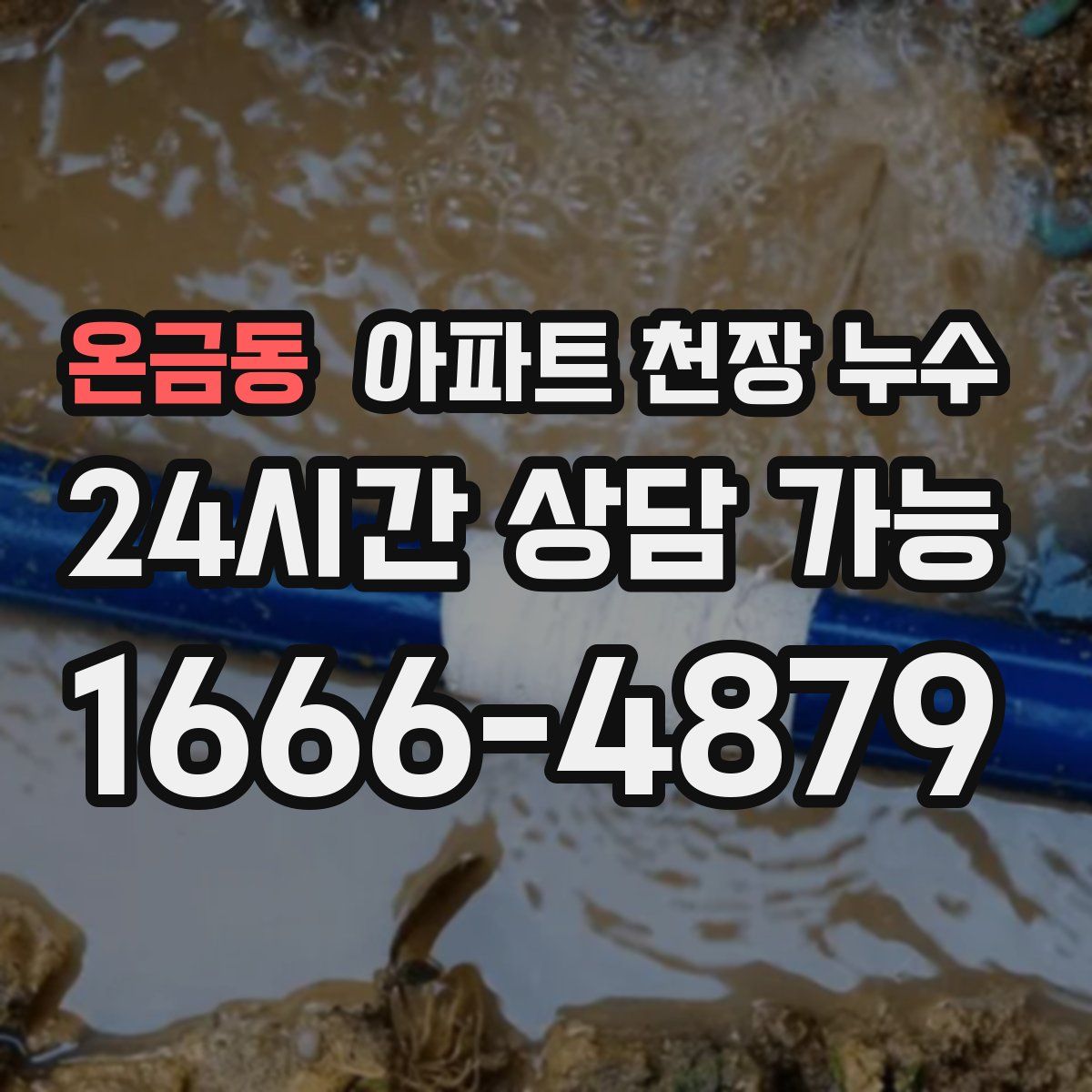 온금동 아파트 천장 누수