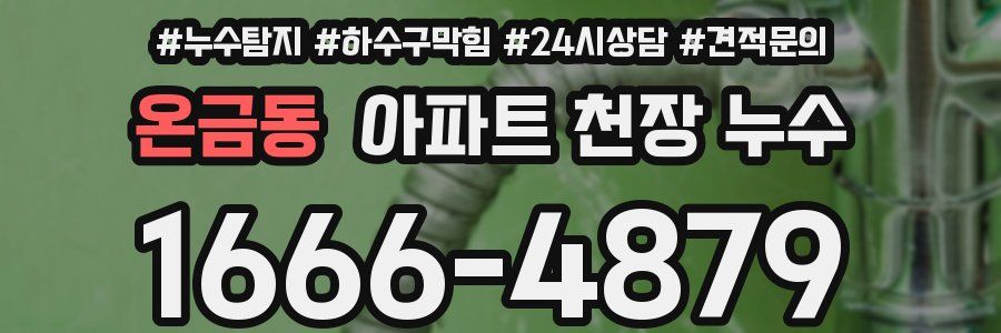 온금동 아파트 천장 누수