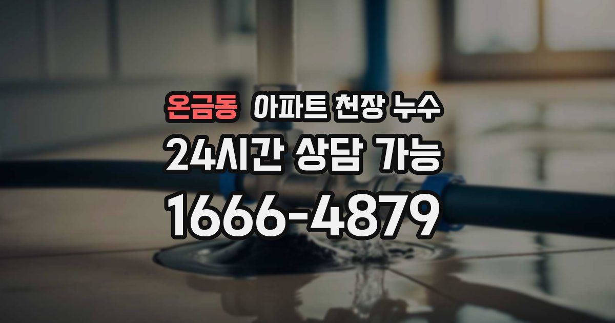 온금동 아파트 천장 누수