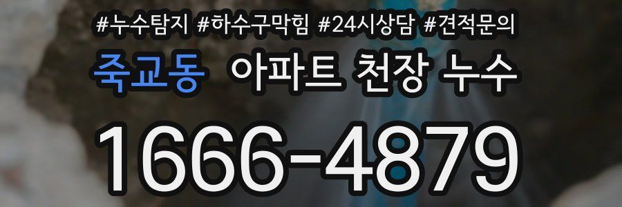 죽교동 아파트 천장 누수