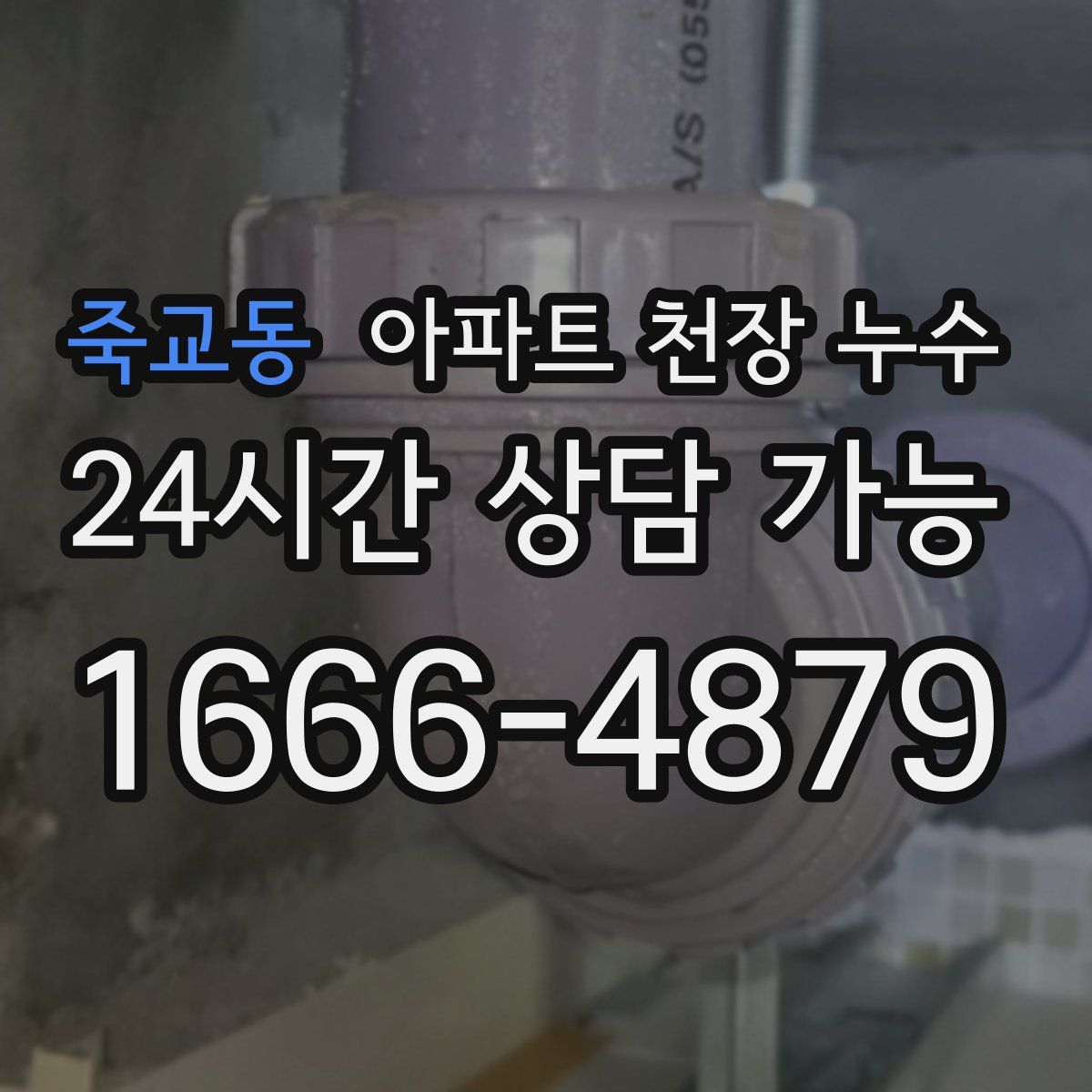 죽교동 아파트 천장 누수