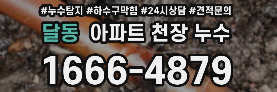 달동 아파트 천장 누수