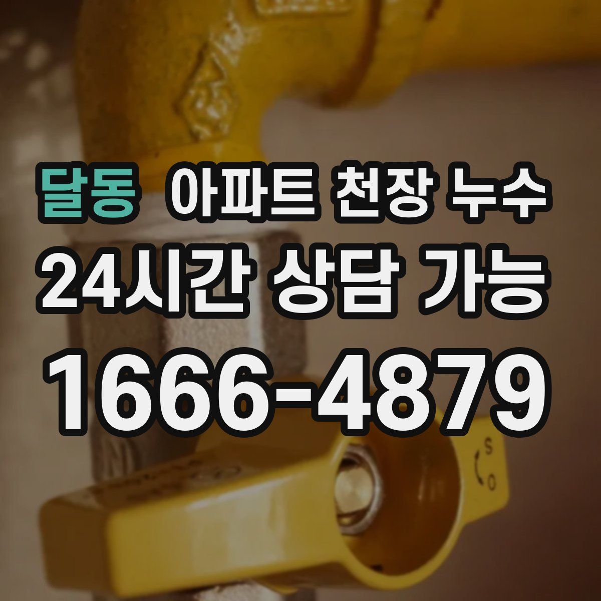 달동 아파트 천장 누수