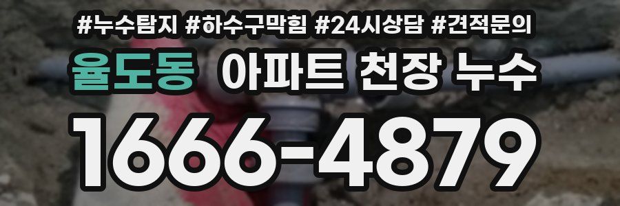 율도동 아파트 천장 누수