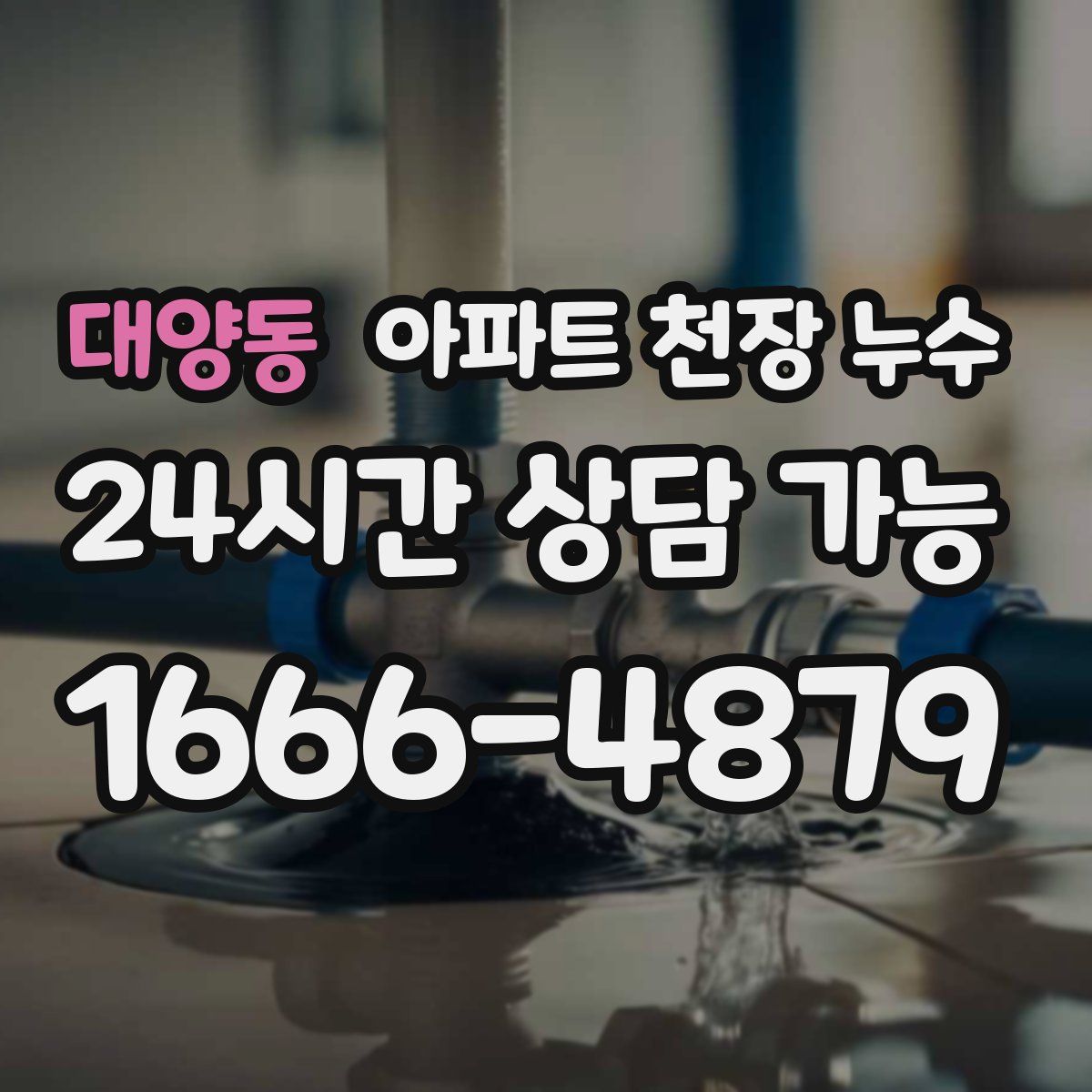 대양동 아파트 천장 누수
