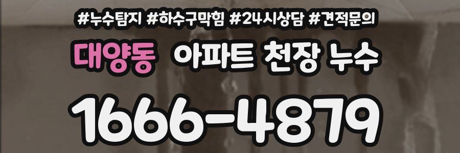 대양동 아파트 천장 누수