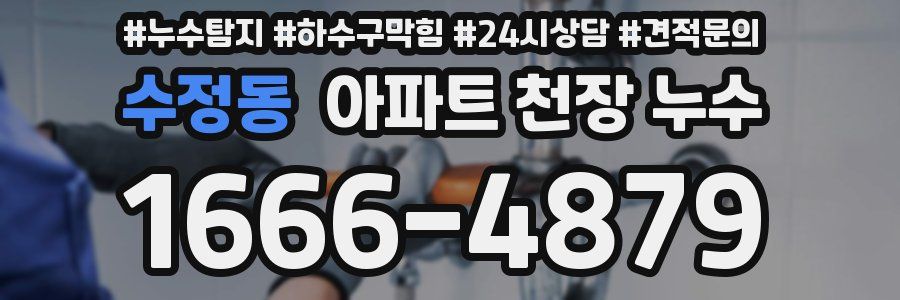 수정동 아파트 천장 누수