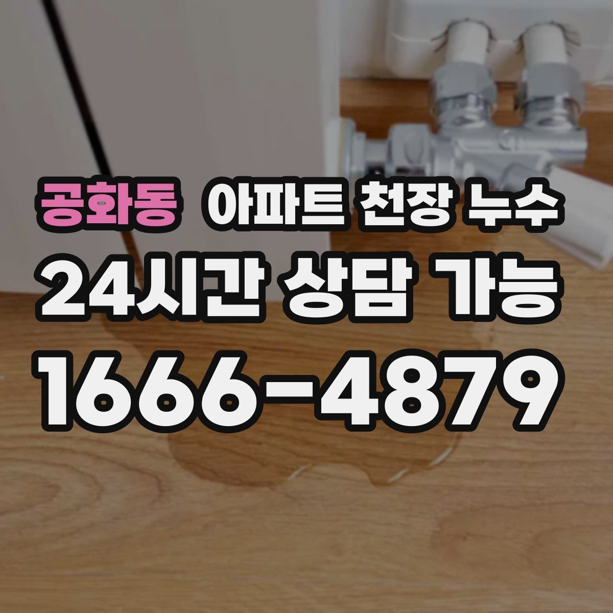 공화동 아파트 천장 누수
