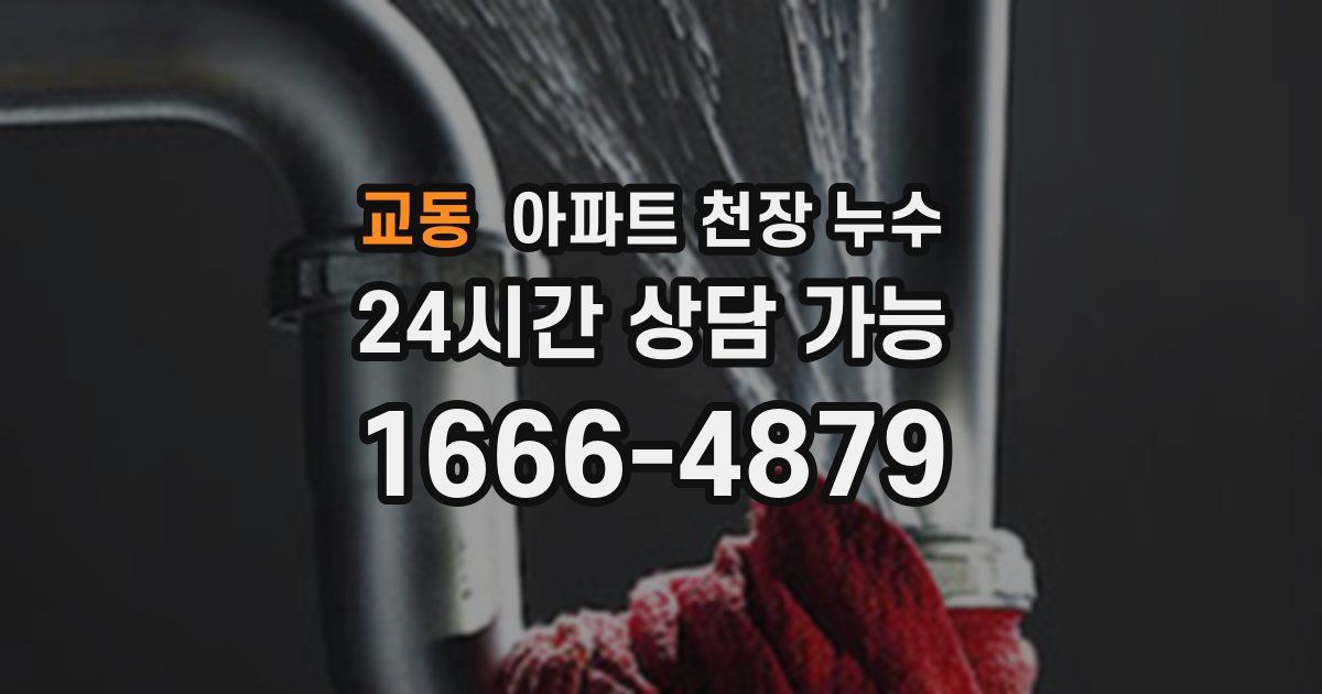 교동 아파트 천장 누수