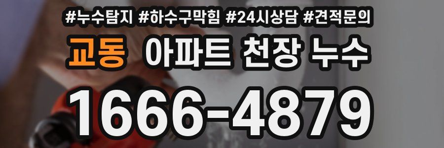 교동 아파트 천장 누수