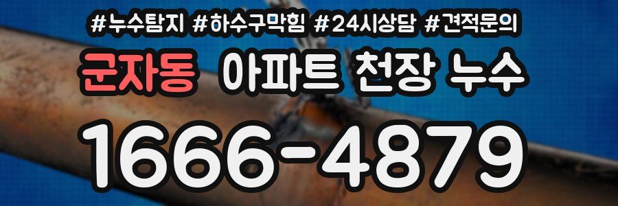 군자동 아파트 천장 누수