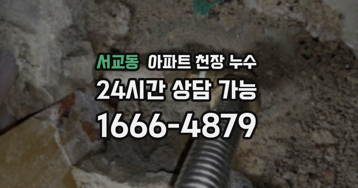 서교동 아파트 천장 누수