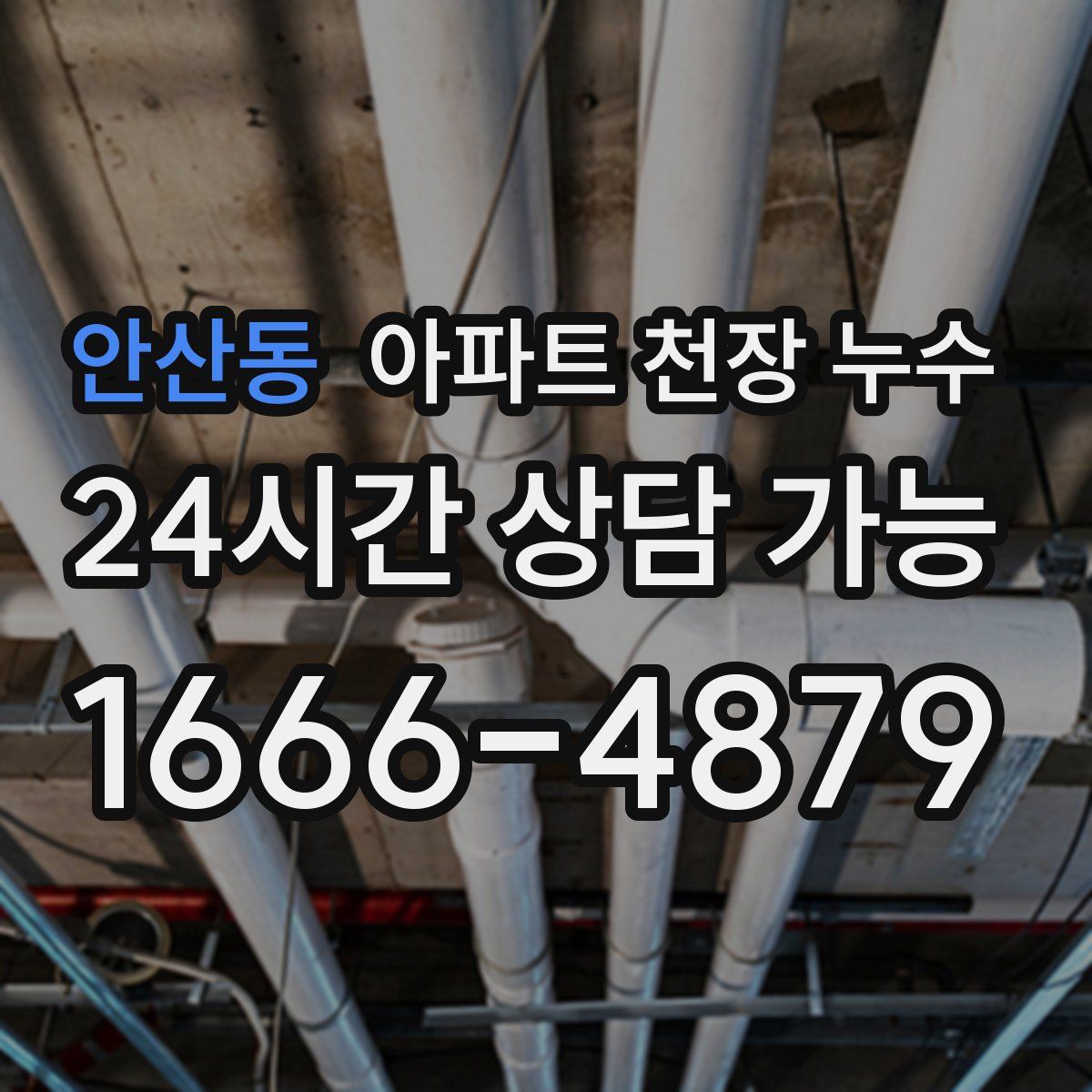 안산동 아파트 천장 누수