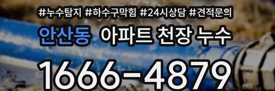 안산동 아파트 천장 누수