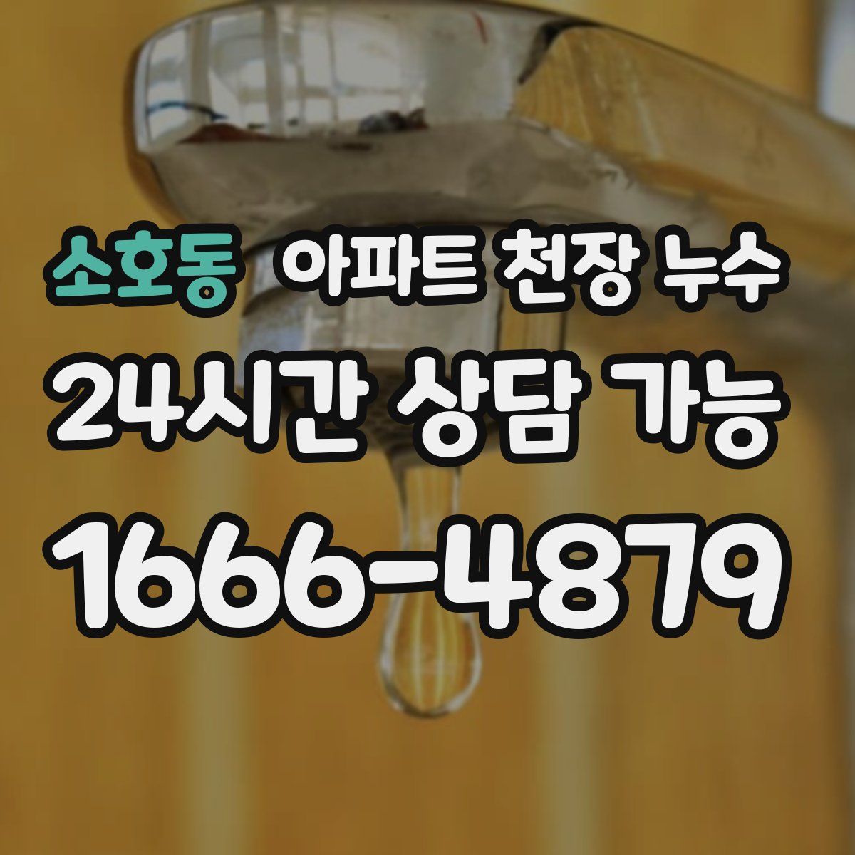 소호동 아파트 천장 누수