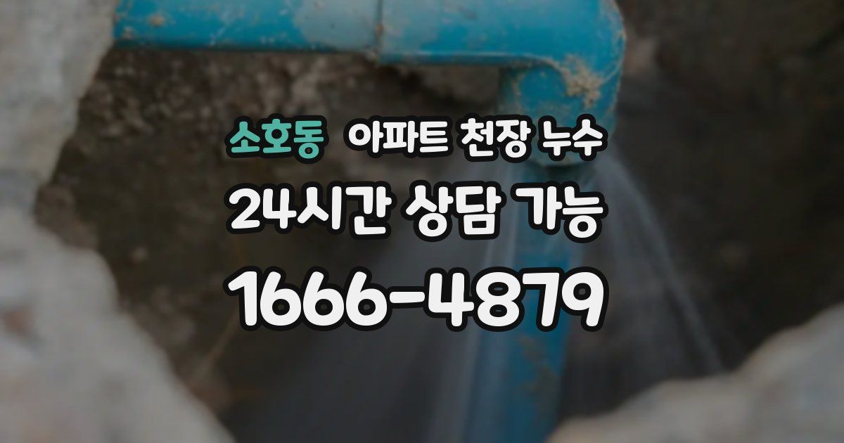 소호동 아파트 천장 누수