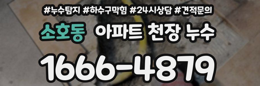 소호동 아파트 천장 누수