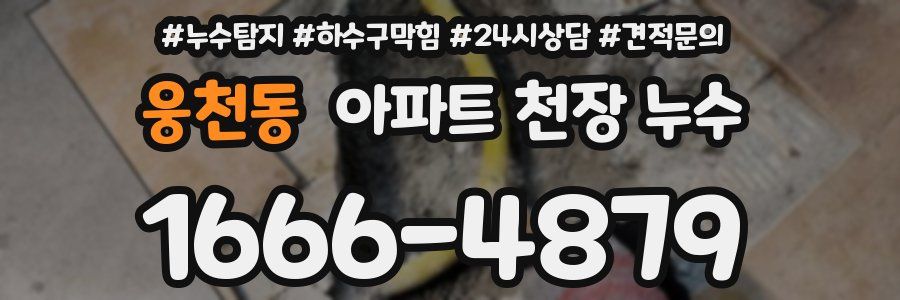 웅천동 아파트 천장 누수
