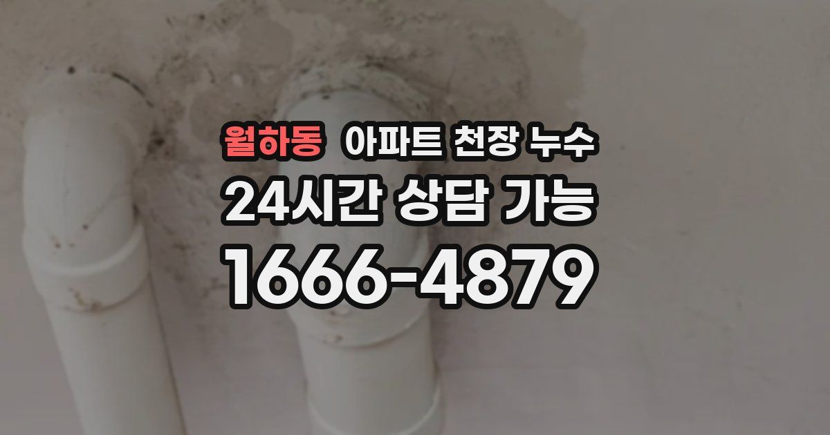 월하동 아파트 천장 누수