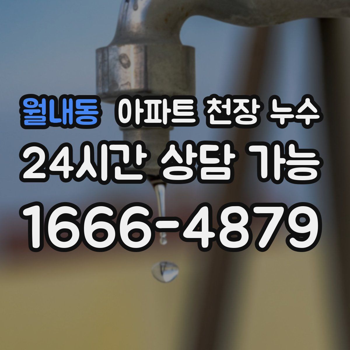 월내동 아파트 천장 누수