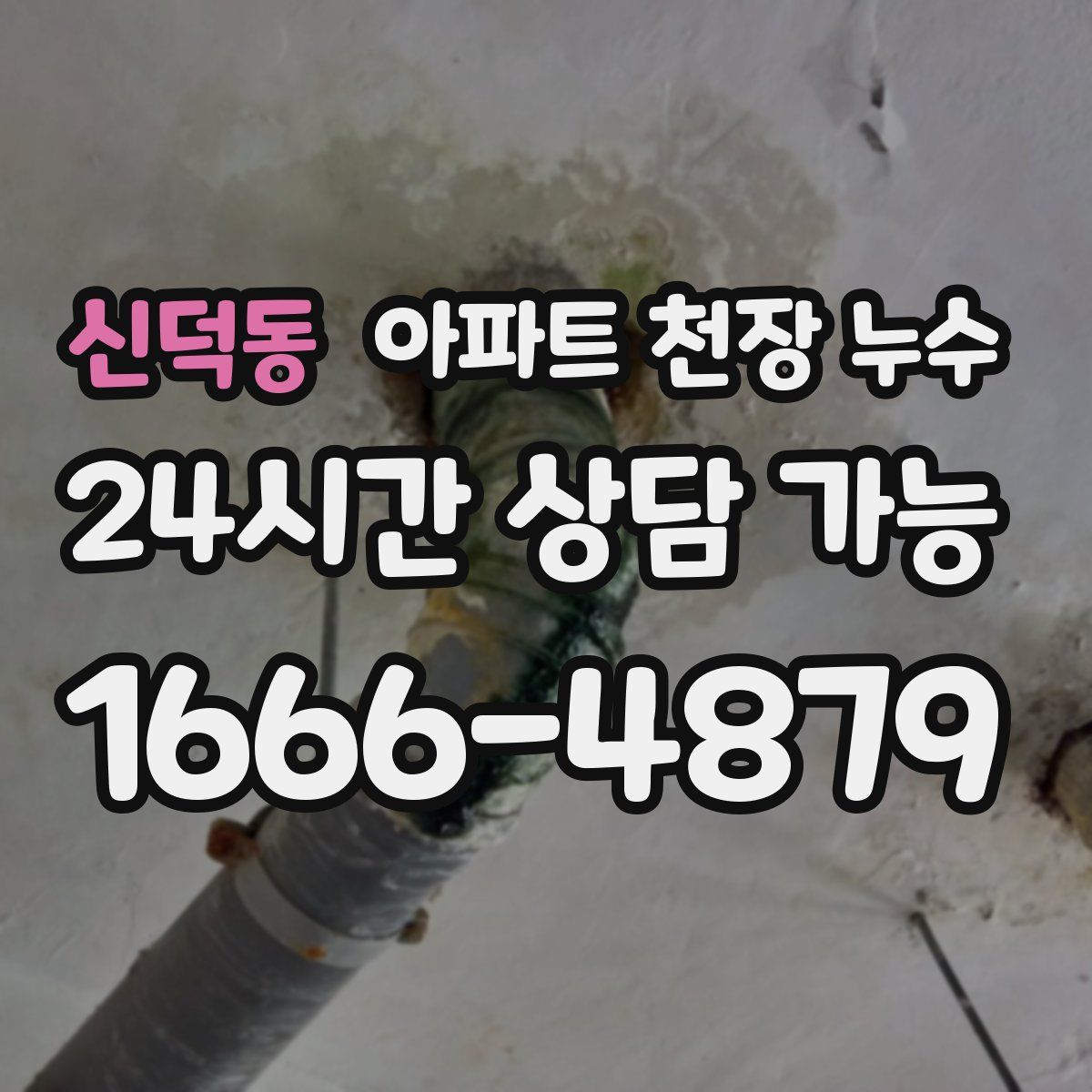 신덕동 아파트 천장 누수