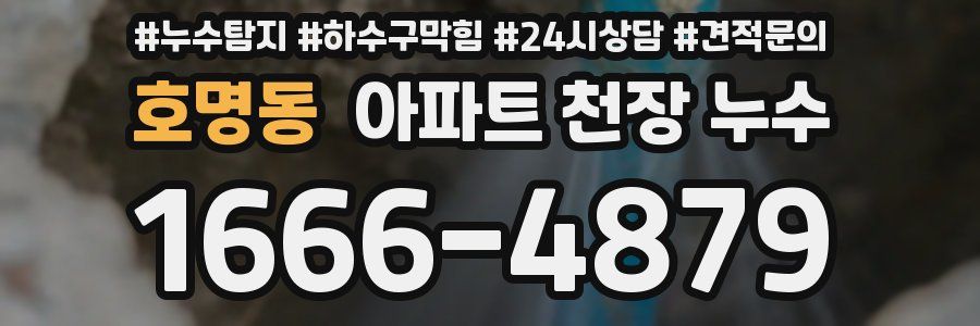 호명동 아파트 천장 누수