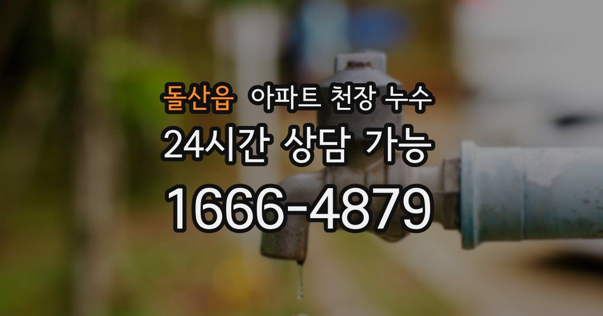 돌산읍 아파트 천장 누수