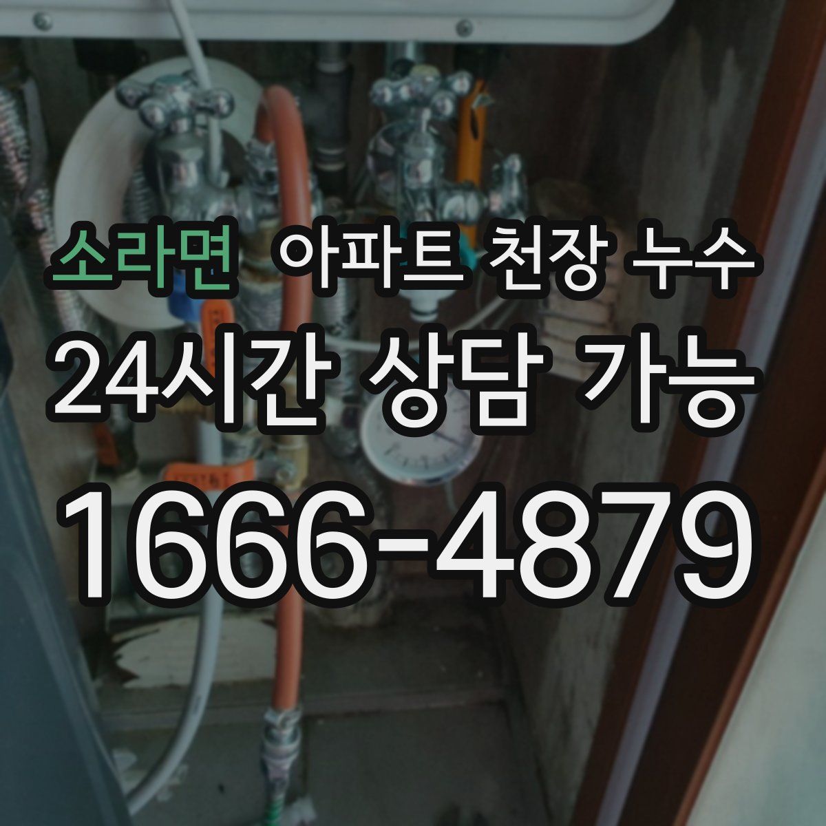 소라면 아파트 천장 누수