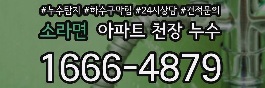 소라면 아파트 천장 누수