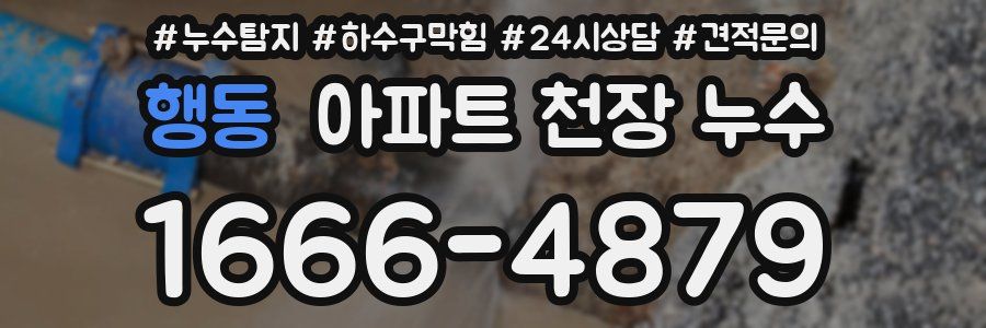 행동 아파트 천장 누수