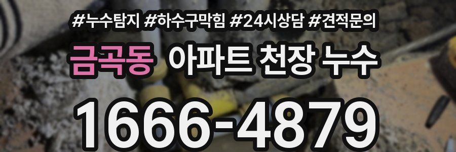 금곡동 아파트 천장 누수