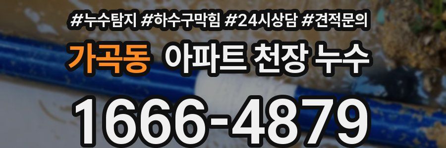 가곡동 아파트 천장 누수