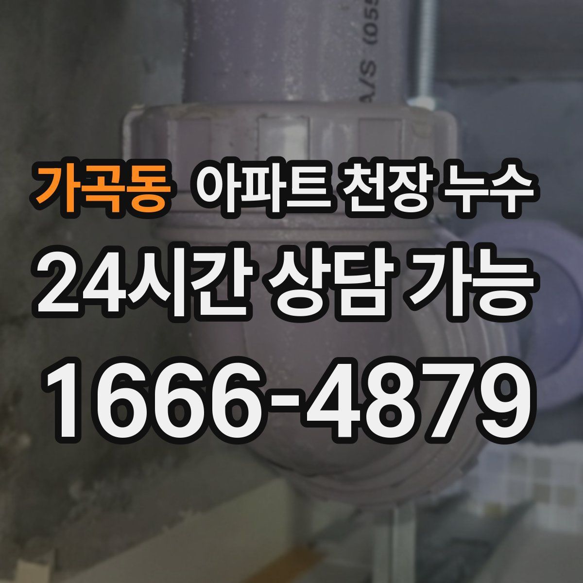 가곡동 아파트 천장 누수