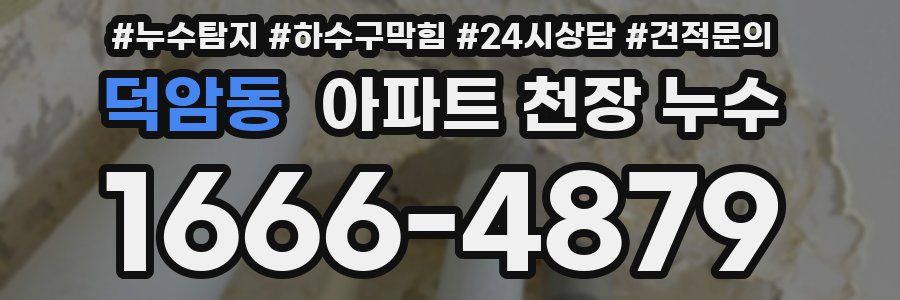 덕암동 아파트 천장 누수