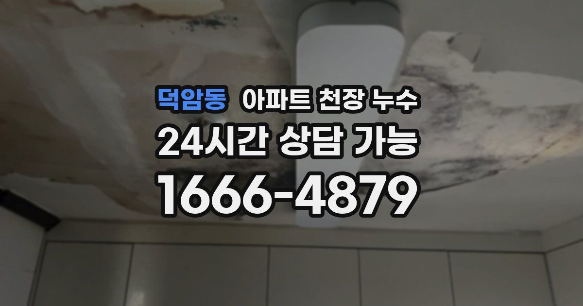 덕암동 아파트 천장 누수