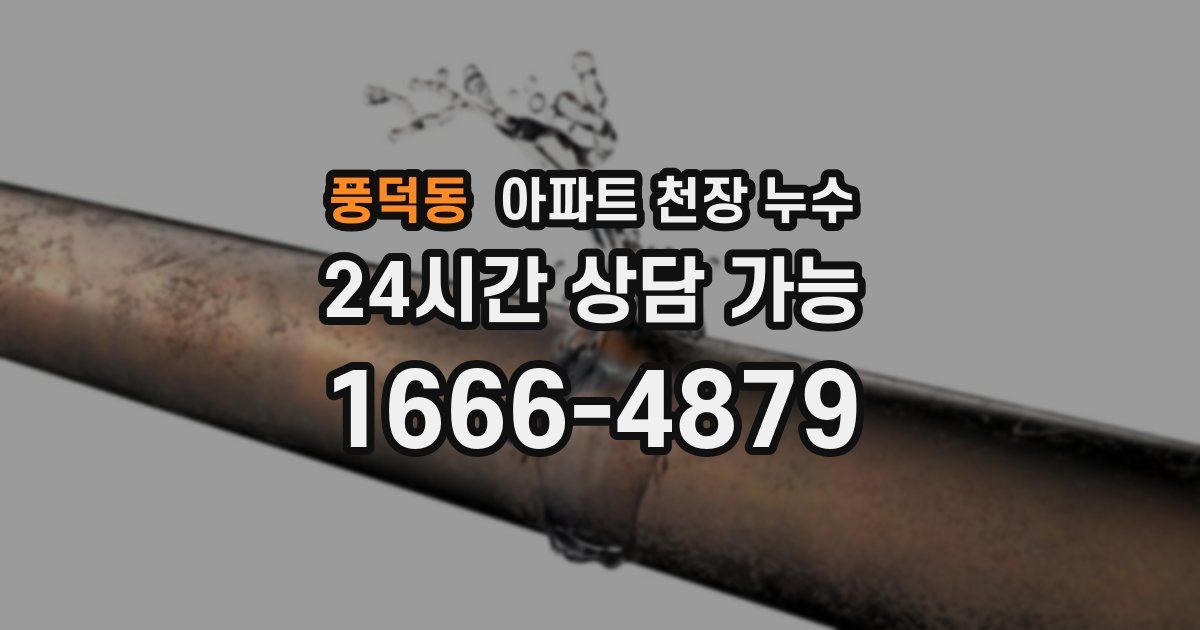 풍덕동 아파트 천장 누수