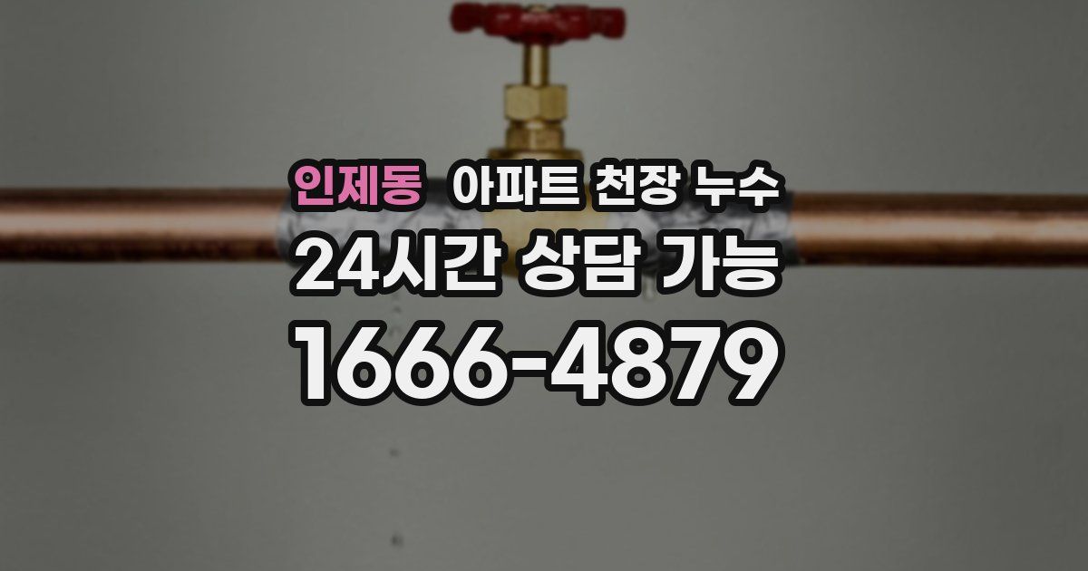 인제동 아파트 천장 누수