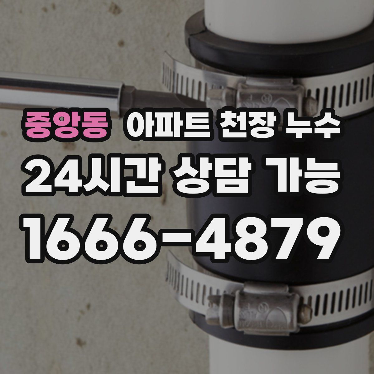 중앙동 아파트 천장 누수