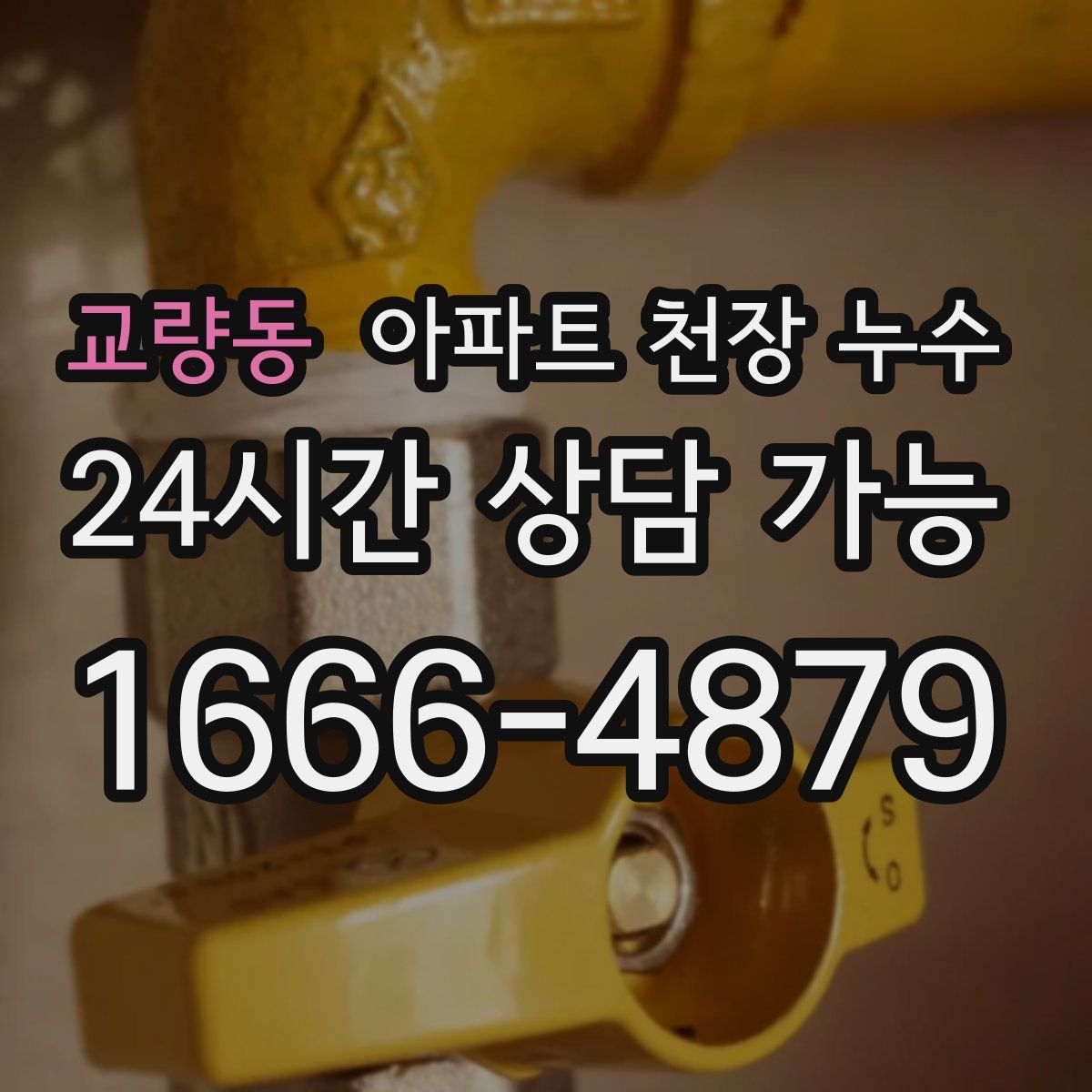 교량동 아파트 천장 누수