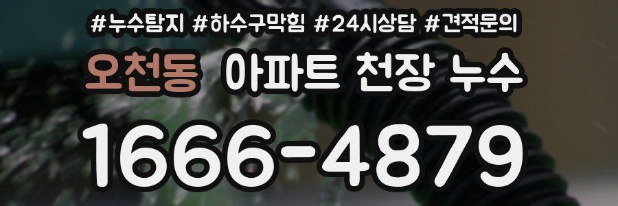 오천동 아파트 천장 누수