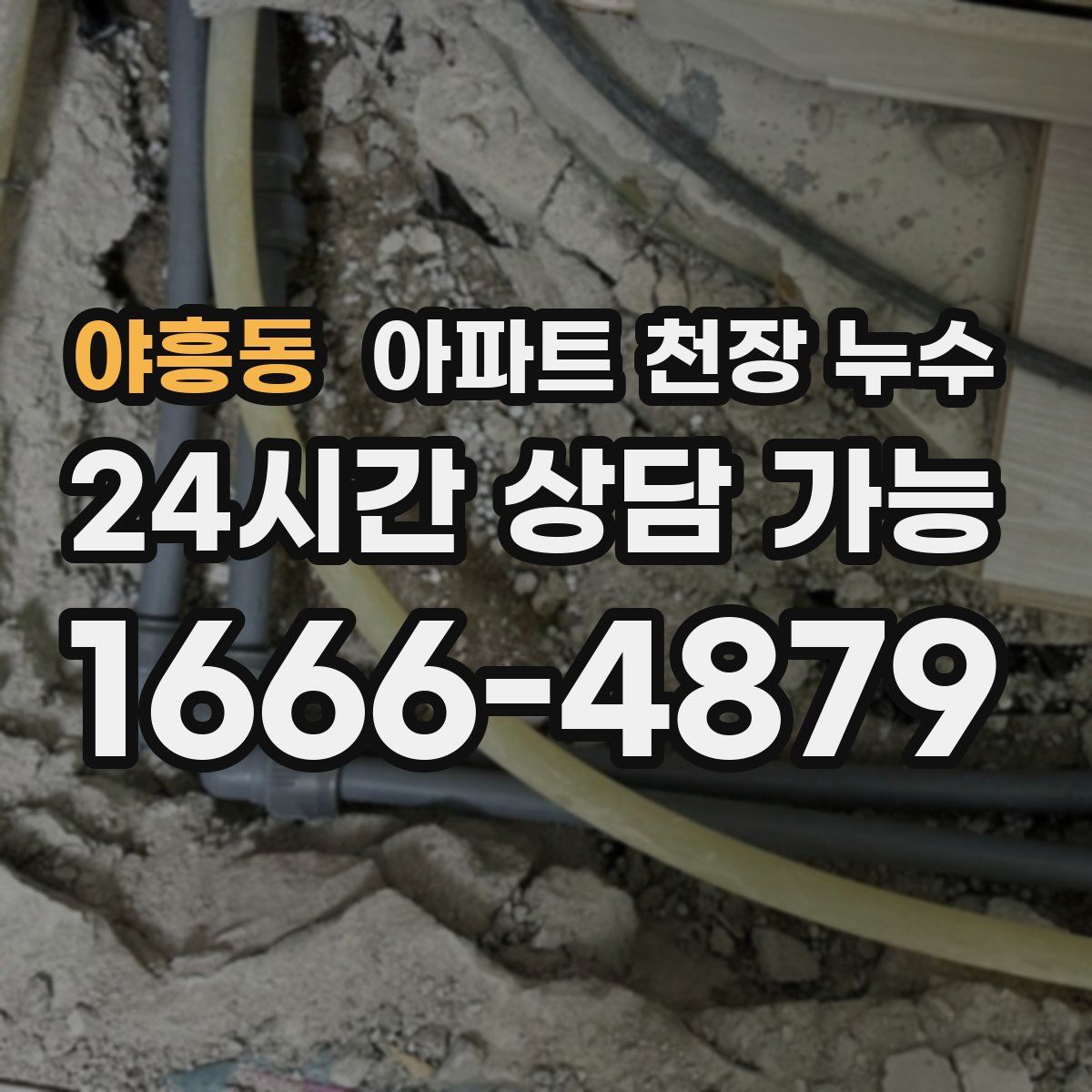야흥동 아파트 천장 누수
