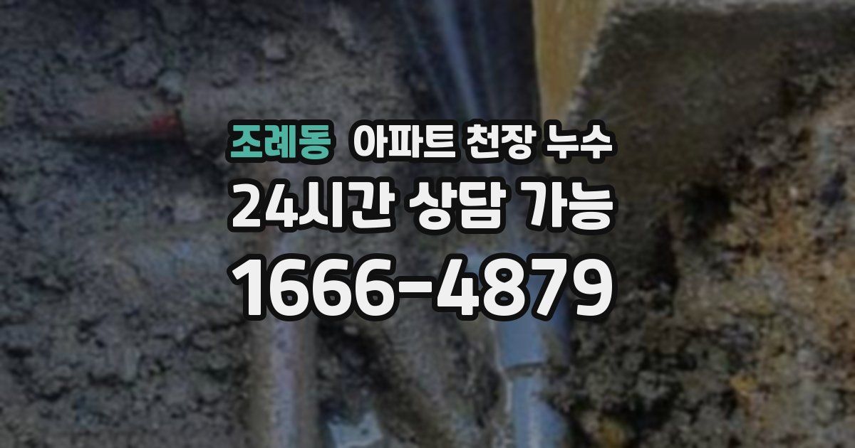 조례동 아파트 천장 누수
