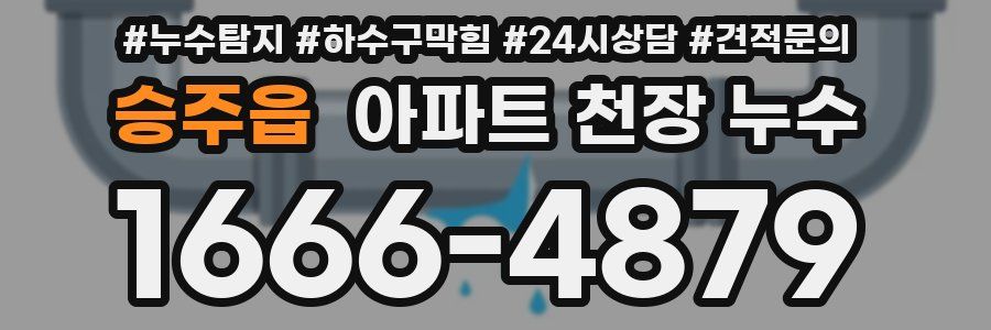승주읍 아파트 천장 누수