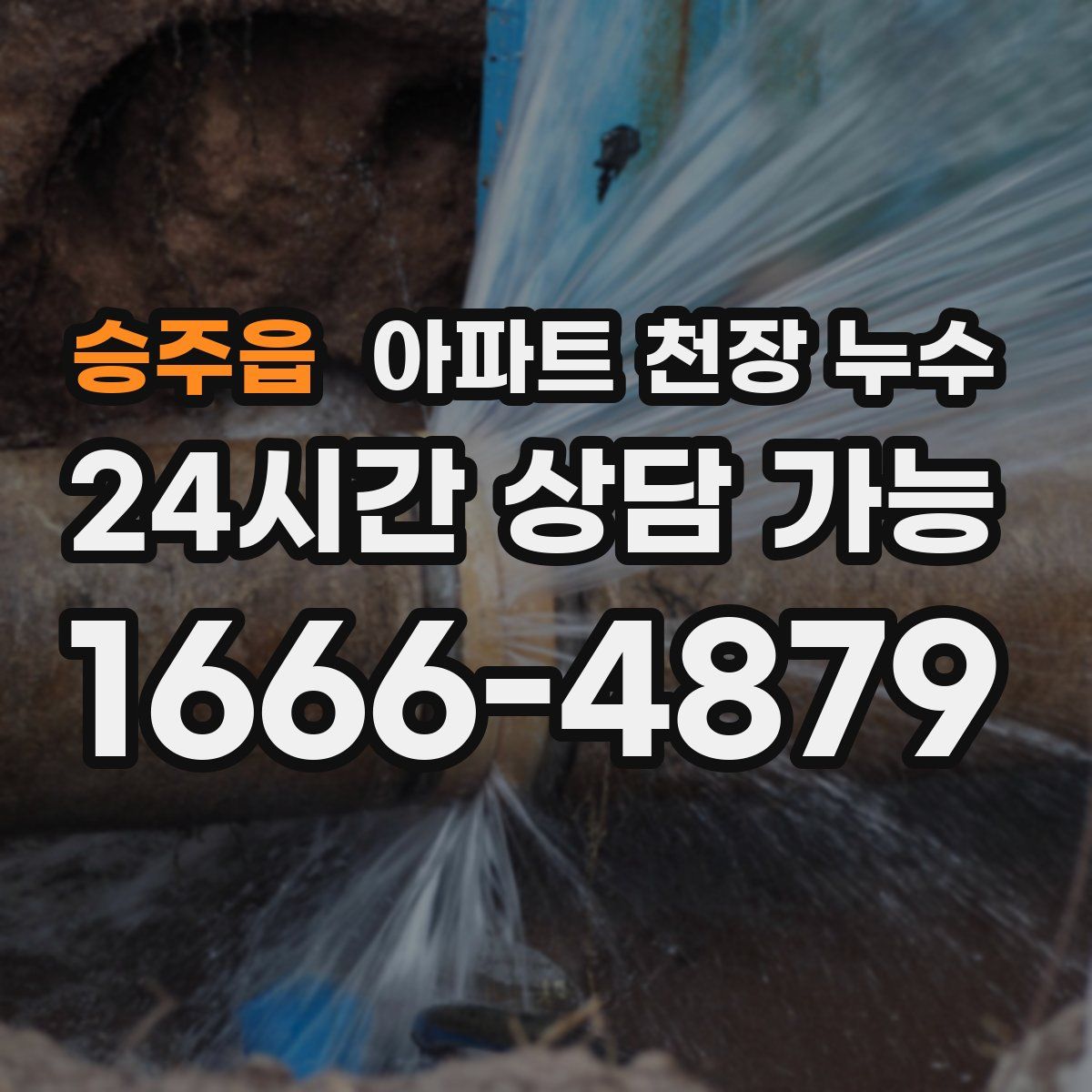 승주읍 아파트 천장 누수